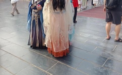 迈开腿让尝尝你的森林啥意思